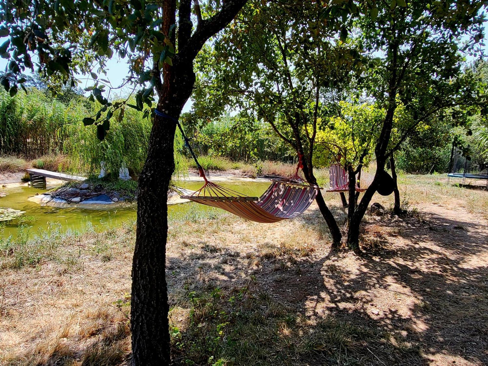 Hotel Quinta Da Choupana Tomar Exteriér fotografie